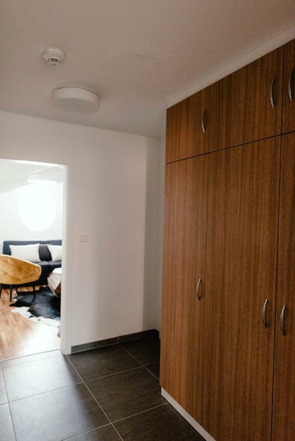 Luxury Apartments Zelny Trh Brno Extérieur photo